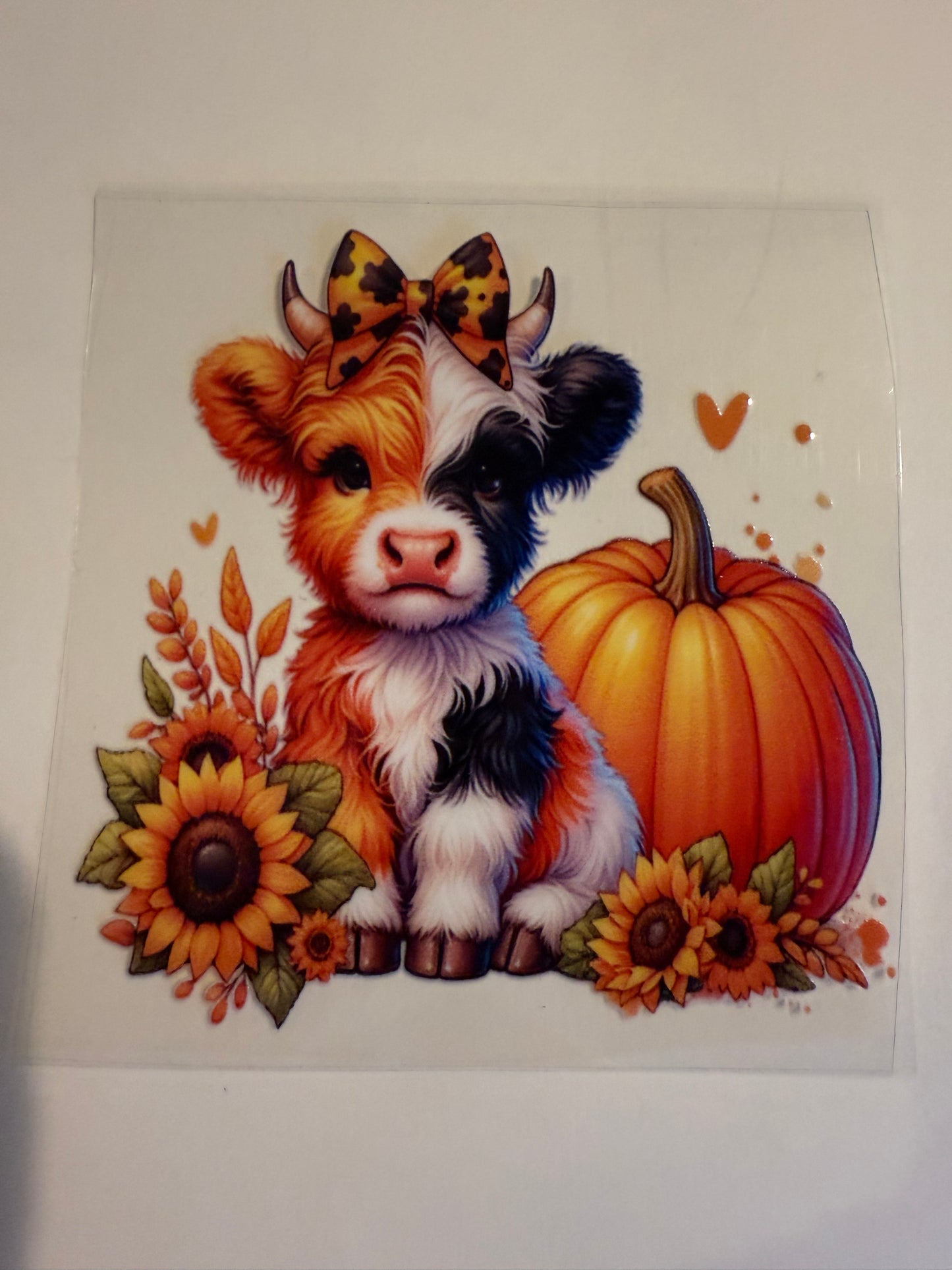 3x5 Pumpkin Cow decal