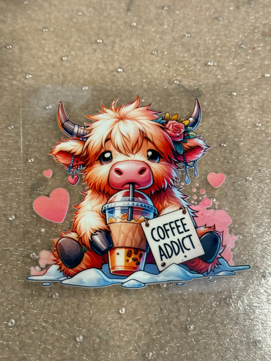 Coffee Heifer